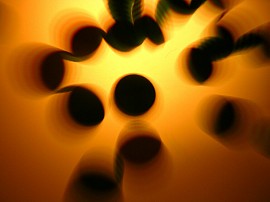 homeopathic consultation